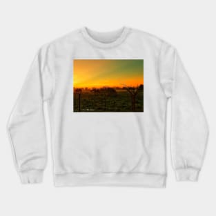 Sunrise Crewneck Sweatshirt